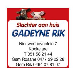 Gadeyne Website